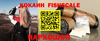 гидра Гусев