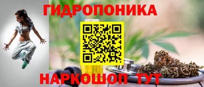 гидра Гусев