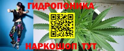 гидра Гусев