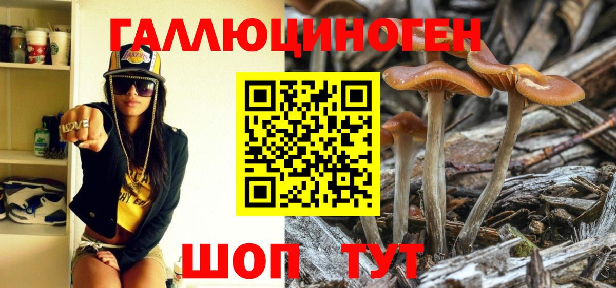 Галлюциногенные грибы GOLDEN TEACHER Мелеуз